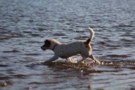 IMG 0851